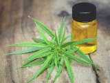 Some States Starting to Address CBD Products & Chiropractic Scope Some States Starting to Address CBD Products & Chiropractic Scope